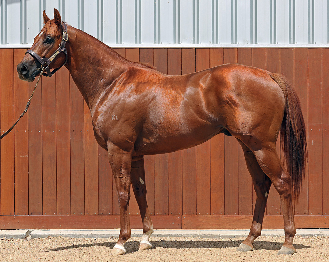 Defcon_2O1A8611-hero