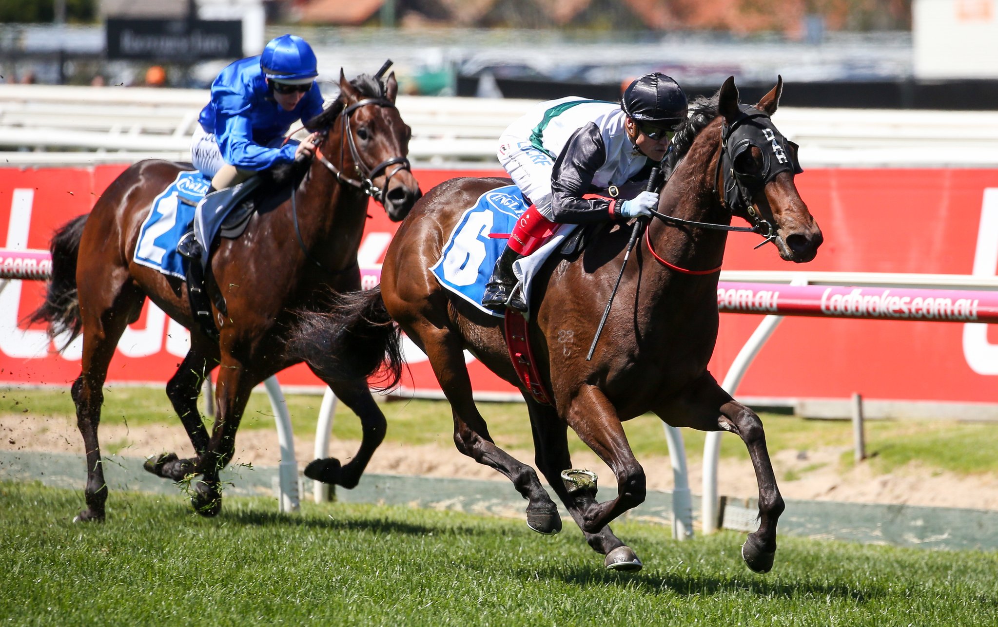 Champagne Boom Takes Out Debutant Stakes - Eureka Stud