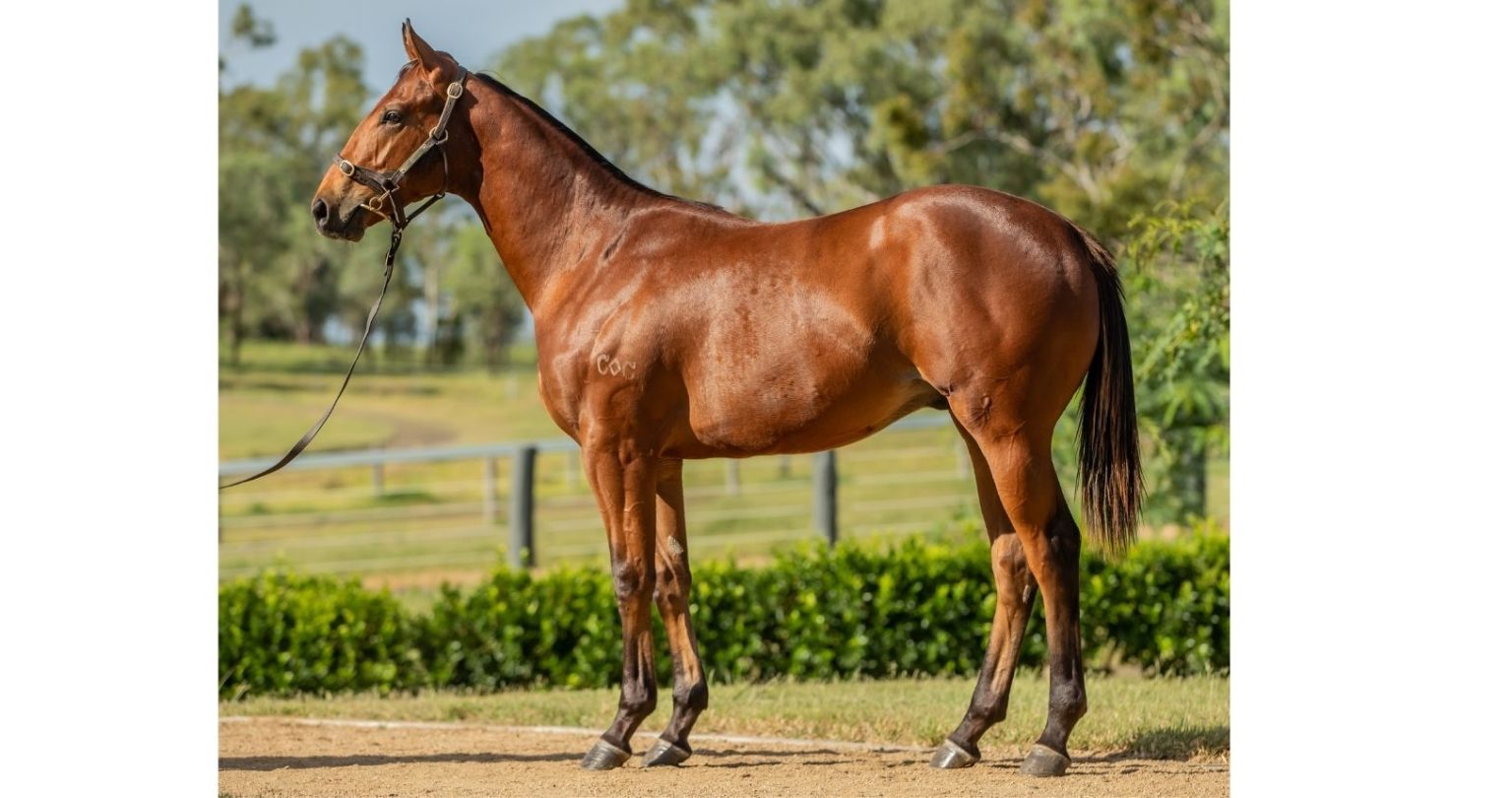 Encryption - Eureka Stud