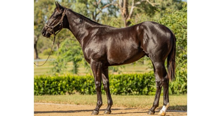 Encryption - Eureka Stud