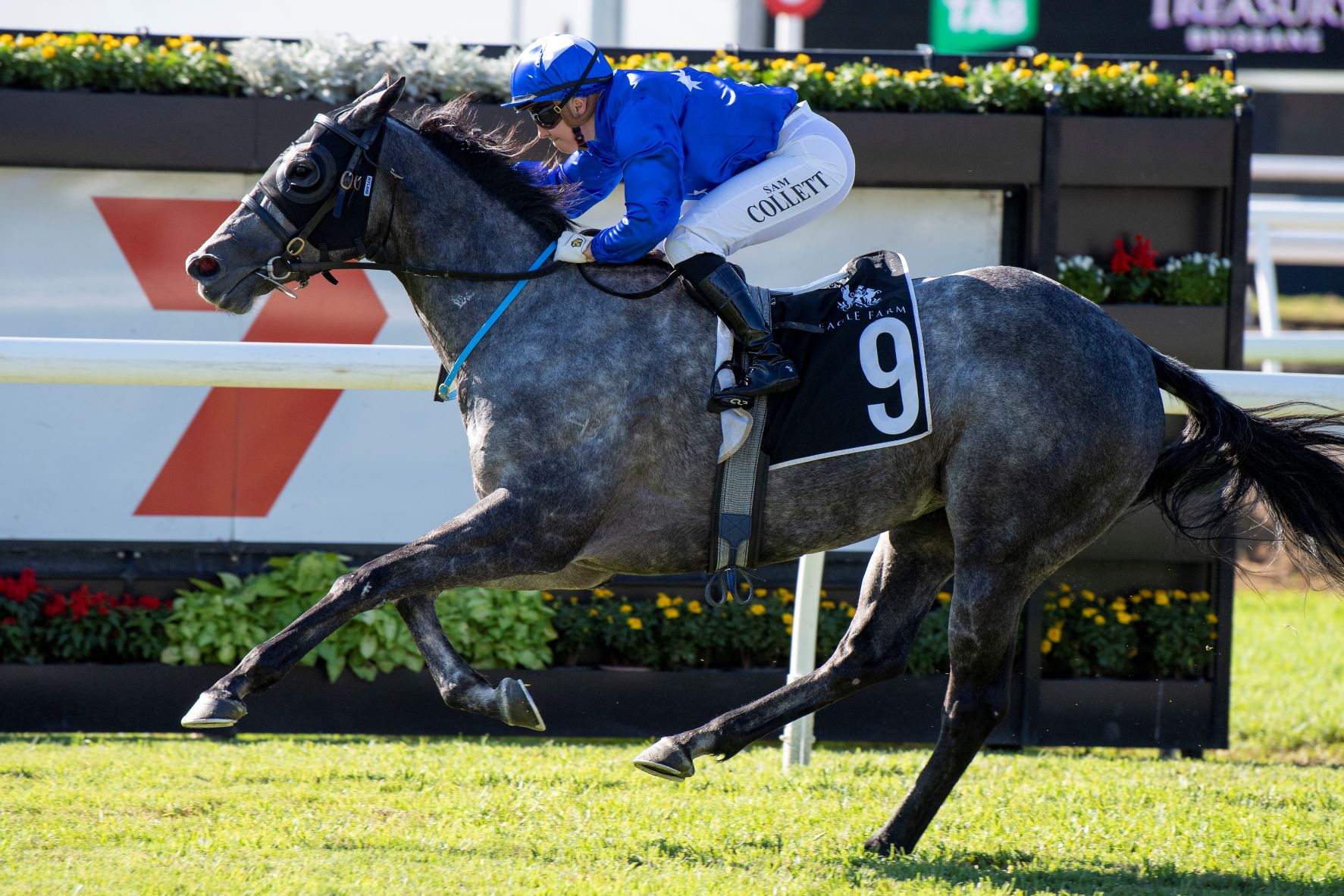 Boomnova wins the Lightning Stakes – Eureka Stud